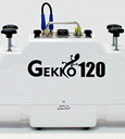 Photo of a Gekko-120